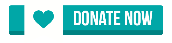 donate now button